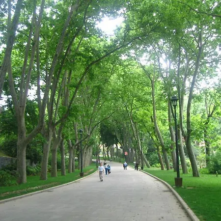 Delightful Sultanahmet *