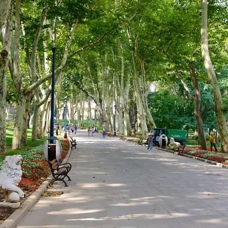 Delightful Sultanahmet